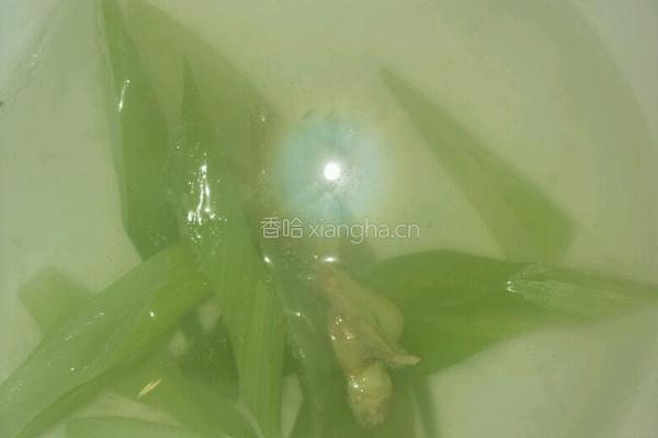 鱼丸的做法图解2