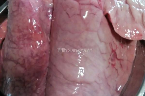 奶白菜煲猪肺的做法图解2
