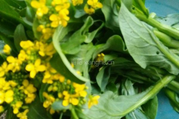 香菇油菜炒肉片的做法图解2