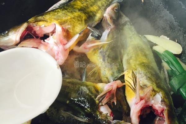 黄骨鱼汤的做法图解6