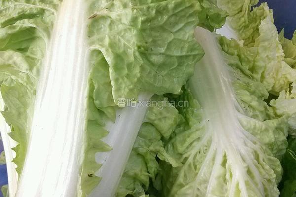 蒜香白菜的做法图解1