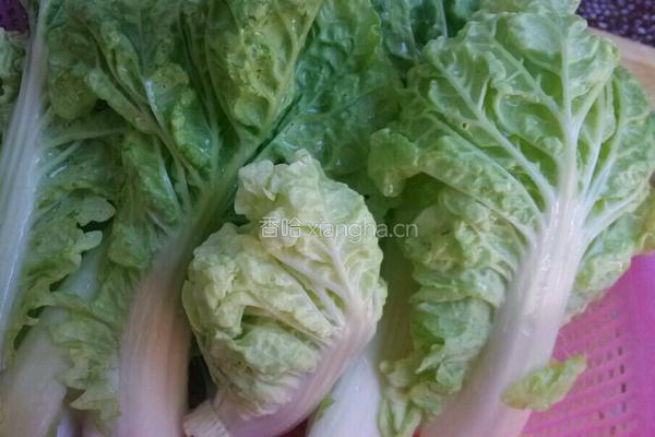蒜香白菜的做法图解2