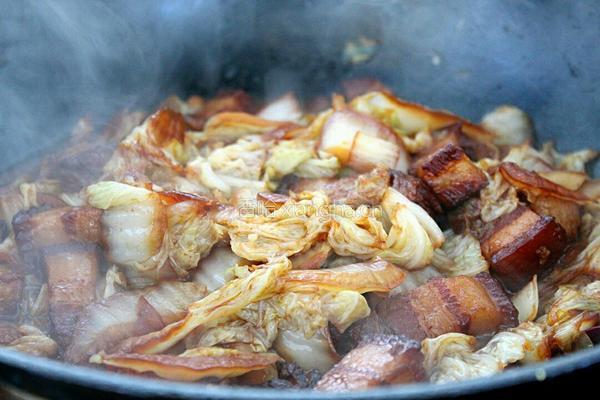 大白菜炖红烧肉的做法图解11