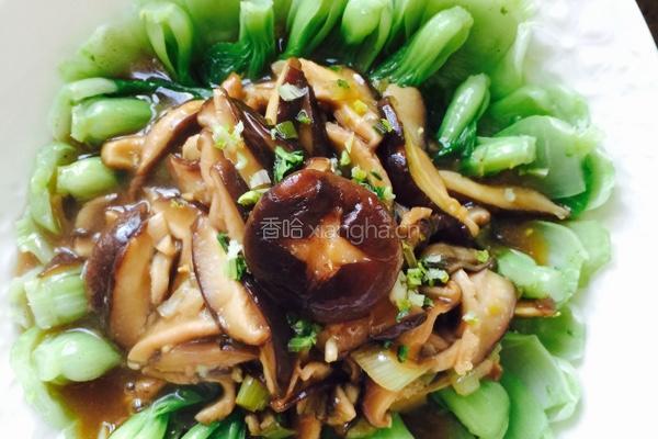 香菇油菜的做法图解6