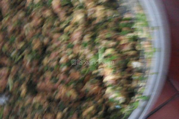 韭菜鸡蛋肉饺子的做法图解5