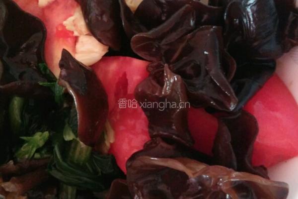 窝瓜油泼面的做法图解2