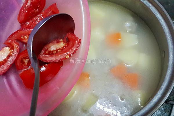 土豆蕃茄排骨汤的做法图解6