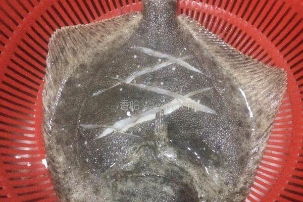 清蒸多宝鱼的做法图解1