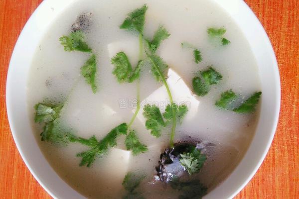 鲫鱼豆腐汤的做法图解7