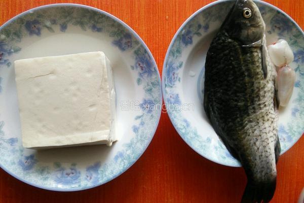 鲫鱼豆腐汤的做法图解1