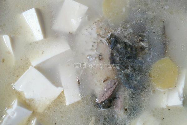 鲫鱼豆腐汤的做法图解6