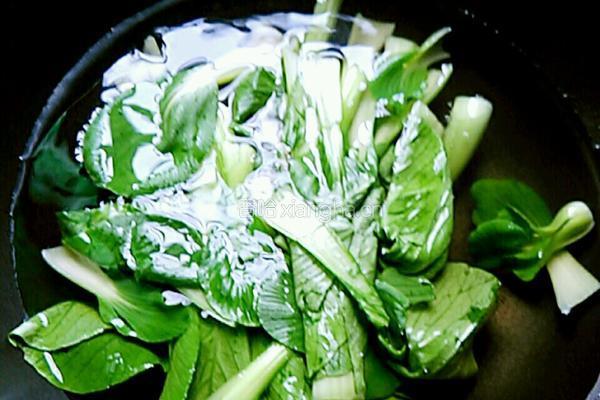 香菇青菜大肉饺子的做法图解4