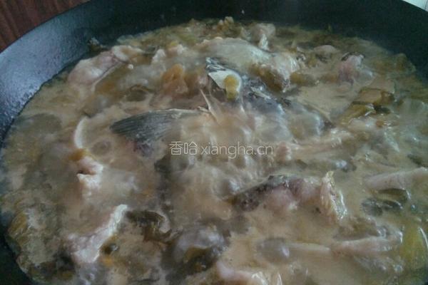 酸菜鱼的做法图解10