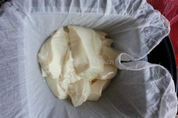 自制豆腐！！的做法图解1