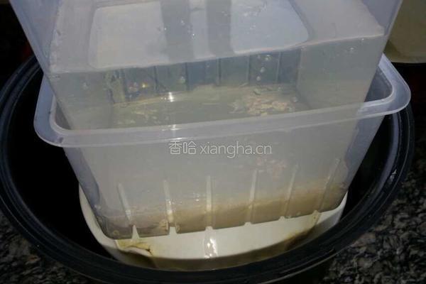 自制豆腐！！的做法图解5