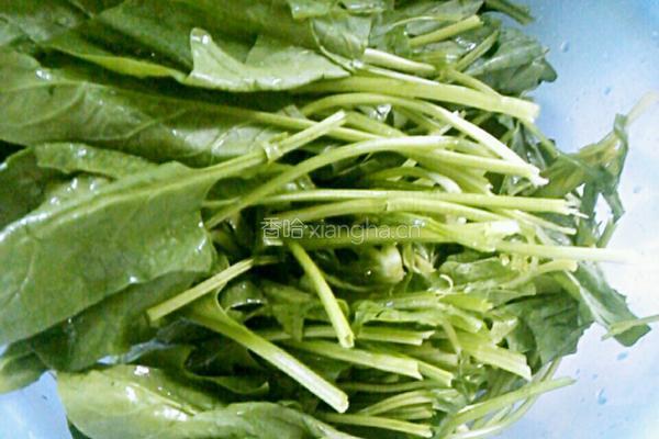 蒜蓉菠菜的做法图解2