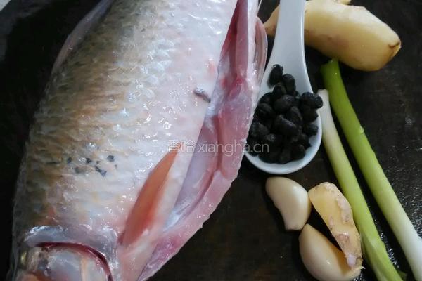 蒜蓉豆豉蒸鲮鱼的做法图解1