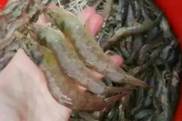 制作虾干全过程的做法图解1