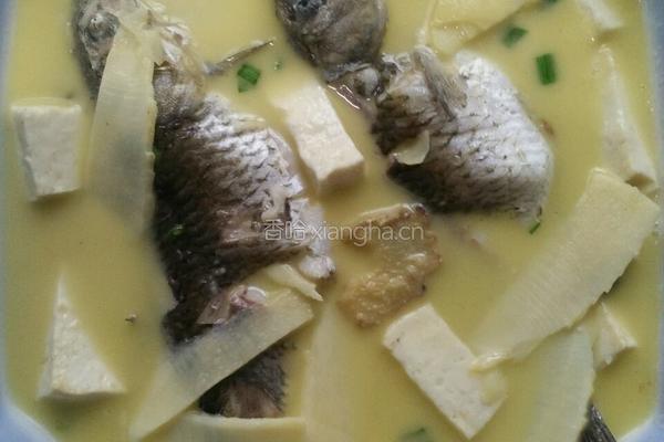 鲫鱼豆腐