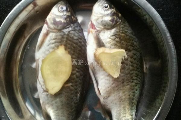 鲫鱼豆腐的做法图解2