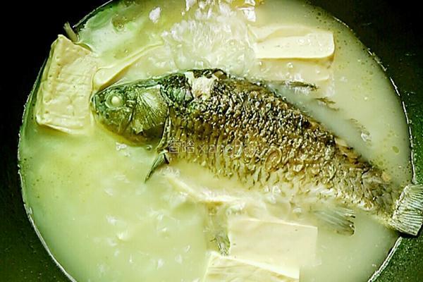 鲫鱼豆腐汤的做法图解8