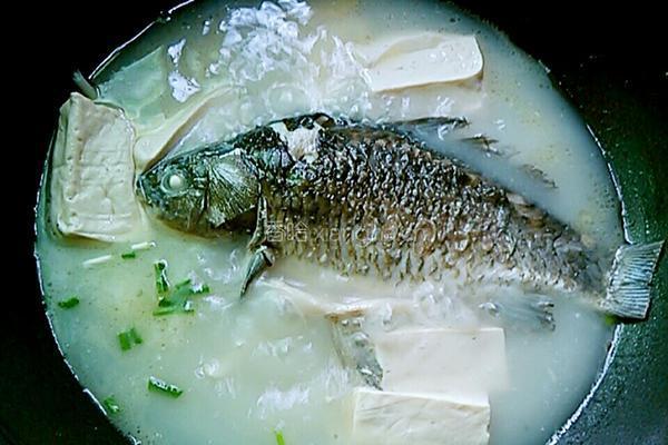 鲫鱼豆腐汤的做法图解9