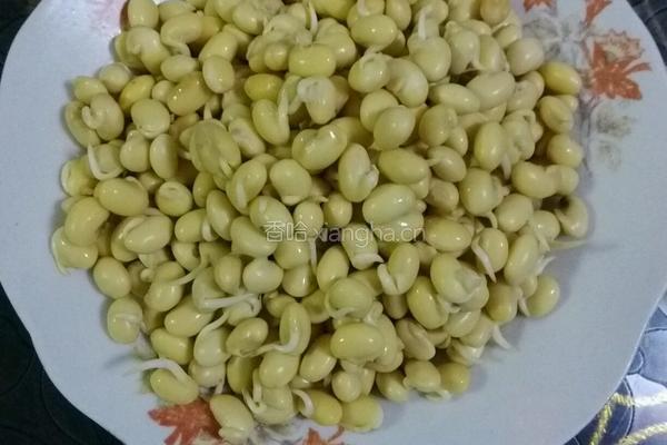 牛肉粒炒黄豆芽的做法图解1