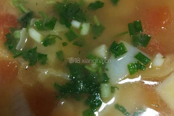 土豆汤的做法图解3