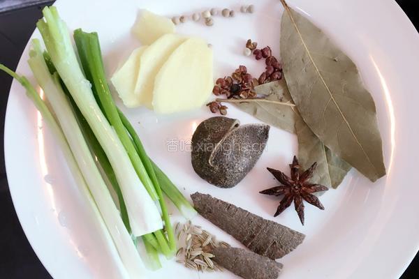 胡萝卜翻茄煲牛腩的做法图解2
