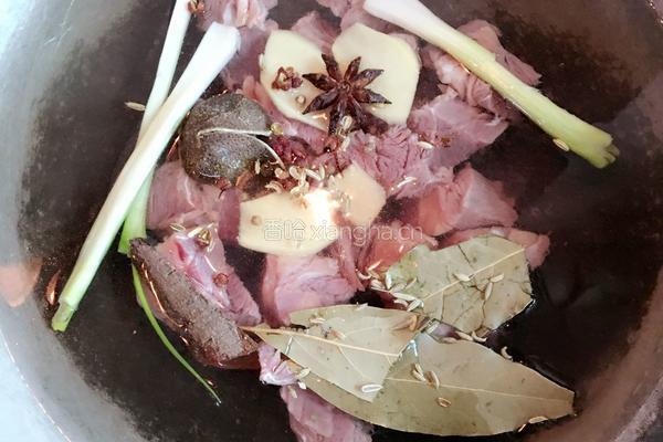 胡萝卜翻茄煲牛腩的做法图解5
