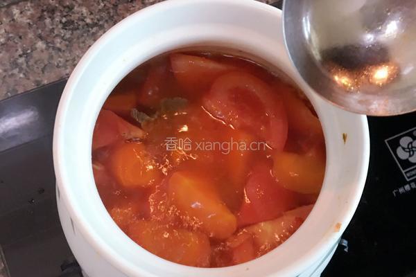 胡萝卜翻茄煲牛腩的做法图解7