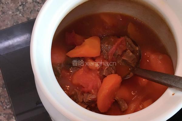 胡萝卜翻茄煲牛腩的做法图解8