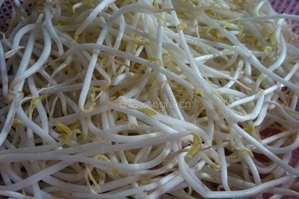 蒜香豆芽菜的做法图解1