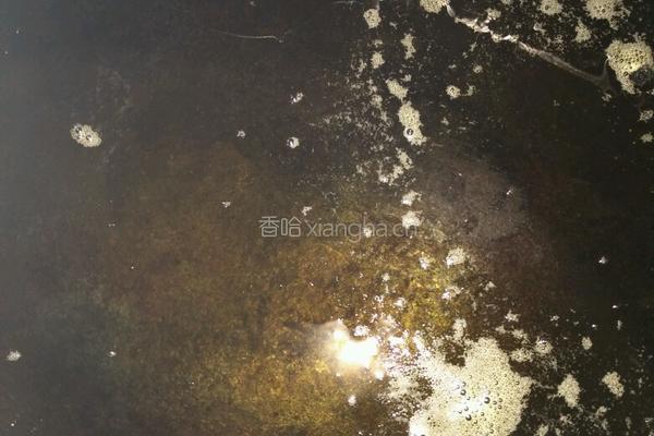 菠菜鸡蛋饼的做法图解7