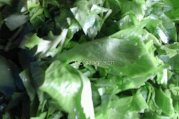 芹菜叶土豆丝煎饼的做法图解1