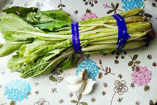 蒜香小白菜的做法图解1