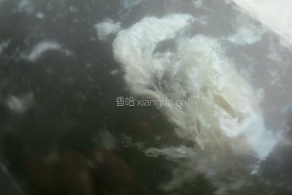 水波蛋的做法图解7