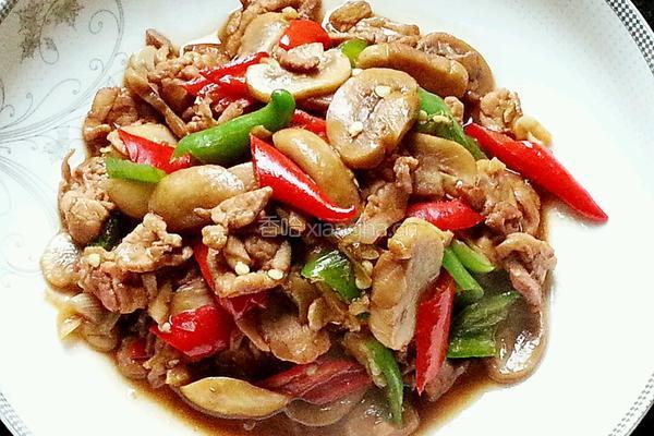 肉片双椒烧口蘑的做法图解7
