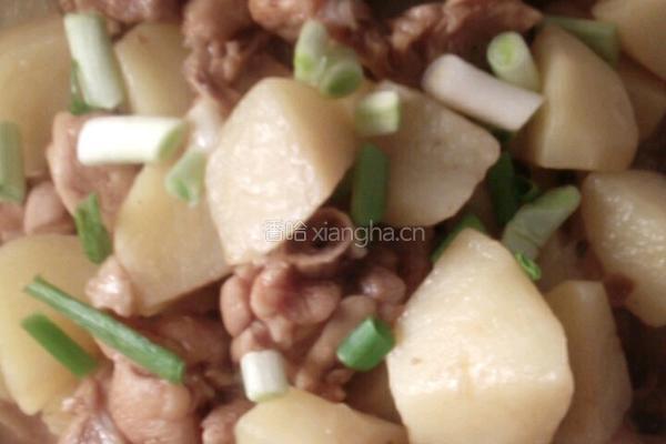 土豆鸡腿