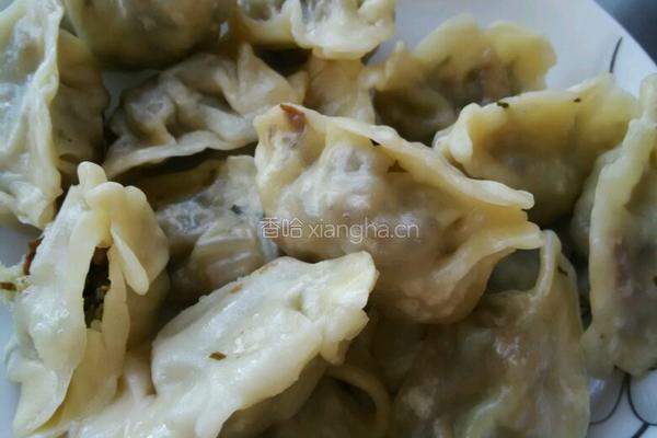 马蹄叶香菇粉丝油渣饺子的做法图解10