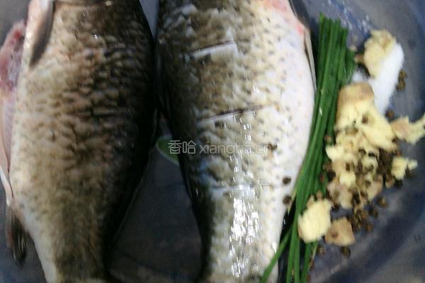 鲜椒鲫鱼的做法图解1