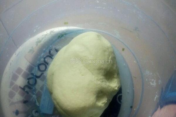 小麦草鲜肉饼的做法图解6