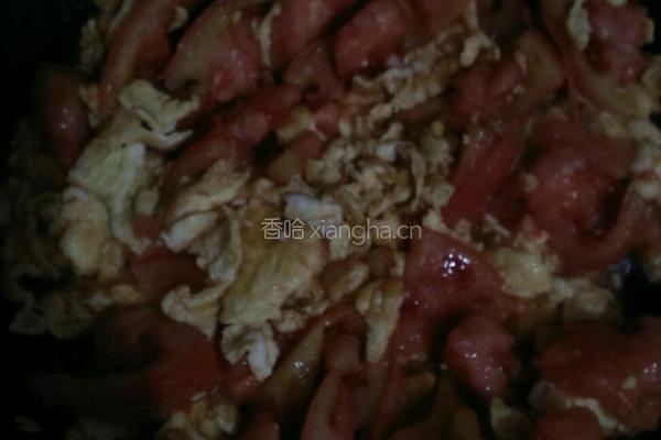 蕃茄炒鸡蛋的做法图解5