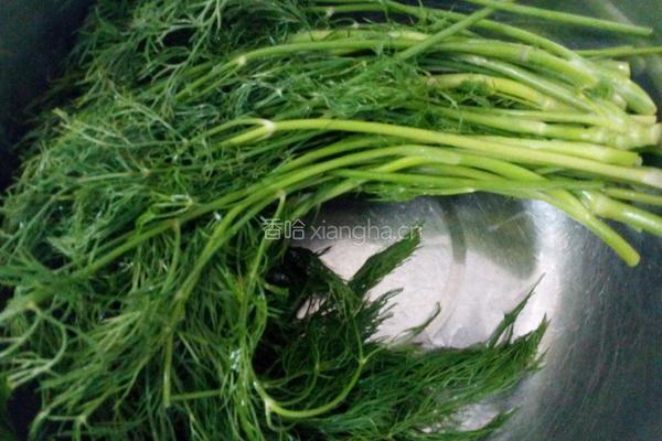 茴香瘦肉汤的做法图解1