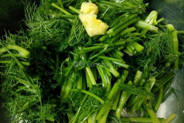 茴香瘦肉汤的做法图解2