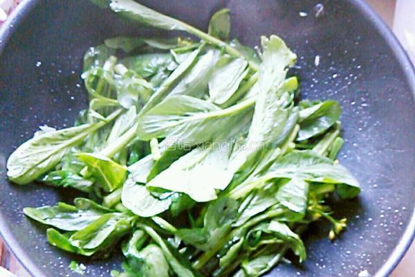 蒜蓉菜心的做法图解4