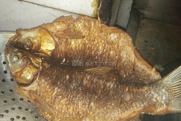 湘味烤鱼的做法图解4