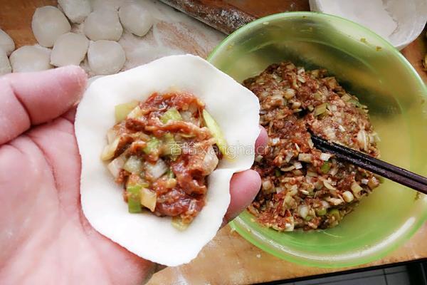 羊肉大葱饺子的做法图解4