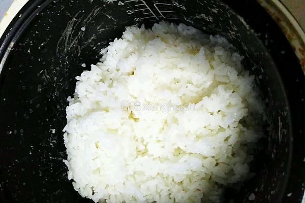 可乐鸡翅盖浇饭的做法图解20