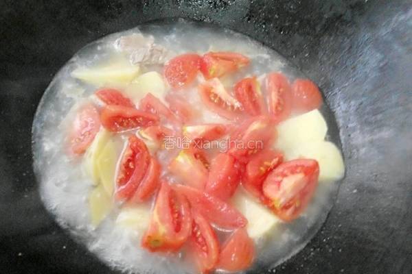 粤菜：里脊肉土豆番茄汤的做法图解4